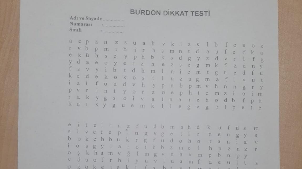 BURDON DİKKAT TESTİ 